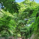 비석농산 이미지