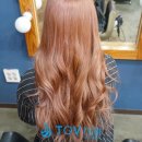 토브헤어 이미지