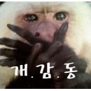 프로손세차 - 부산진구 연수로 30-8 | 프로손세차