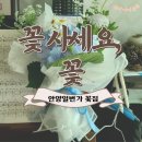 꽃사세요 꽃 이미지