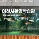 ICHEON126 | 테르메덴 시몬스테라스 근처 무료 동물원 이천환경학습관