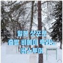 EG투어버스 H코스 | 일본 삿포로 출발 비에이 후라노 버스투어 하루 코스 감성 여행 가이드 추천