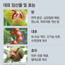 신토불이 티스토리