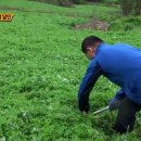 대박떡방앗간 이미지