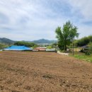 화산면사무소 이미지