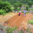 꽃돌농장 이미지