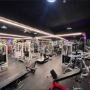 초콜릿 휘트니스 이미지