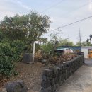 선인장여관 이미지