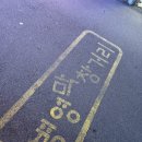 유진약국 | 울산 병영막창거리 맛집 | 원조 대구막창 1번지 리얼 리뷰