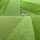 더센트럴골프 이미지