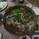 코끼리단양주유소 이미지