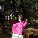 가우도 한옥펜션 이미지