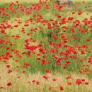 내동마을 이미지