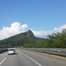 나정상회 이미지