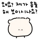 시민칼국수 - 영주시 대학로86번길 15 | 시민칼국수