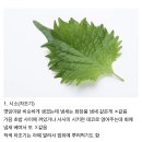대권사상해수온천 | 대마도 2일차 유타리온천 , 무인양품 ,다이소 , 백엔샵 그릇털기 , 스시야다이케