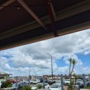 눈섬베이커리 | 호주 퍼스 여행 로트네스트 섬 방문 후기 (페리, 프리맨틀 탑승, 가는방법, 쿼카 셀카 꿀팁)