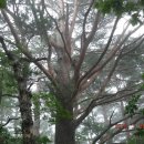 왕산마을회관 이미지