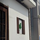 고수한잎 이미지