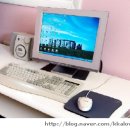 대관령가는길 이미지