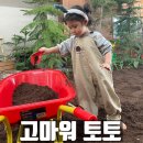 오늘도  고마워 | 고마워토토 부산 명지 튤립호텔 37개월 위드맘후기