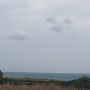 돌고래공인중개사사무소 이미지