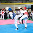 세계로태권도 이미지