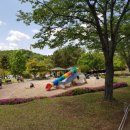 장미동산(좌) 이미지