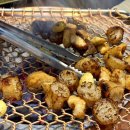 신선양대창 | 신선양대창 인생 양대창 영통 맛집 추천