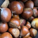 [동락점빵 이동장터 이야기] 10월 2일 운행기록 이미지