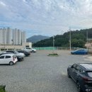 펫토피아(PETOPIA) 이미지