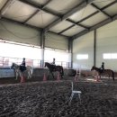 임자남초등학교 이미지