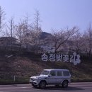 송정우리약국 이미지