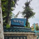 용정14(한신3차) | 도곡개포한신 임장 (재건축 사업시행인가 단계 | 아크로도곡)
