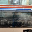 싱싱민물장어세상 이미지