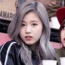 D00946 이미지
