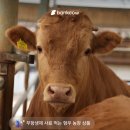 형우농장 네이버블로그