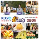 성진청과