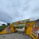 강릉 쌍둥이 동물농장 이미지