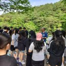 괴산고, 자연 속 생태감수성 함양을 위한 아웃도어 생태체험 실시 이미지