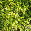 세월천로25번길 안남로 이미지