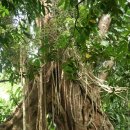 우림파크 이미지