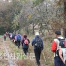 용인시경계 종주 삶터따라 사백리-통산-한국표준연구소-원암동-사기막-신선봉-어비리-장율(화장장) 용인...