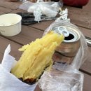 엔젤코바 이미지