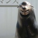보아유 이미지