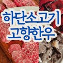 고향 | 하단소고기 당리고기집 고향한우 후기