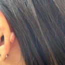 서초구보건소 화장실 이미지