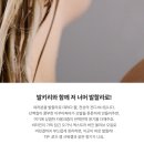 러쉬 프레쉬 세일맞이 50만원 구매 추천 모음(또 터진 러쉬 서버^^,,,,제 속도 터졌다내요; )