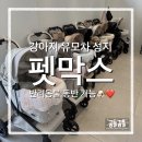 용인 기흥 강아지 유모차 성지 “펫막스” 로얄테일즈 글로리아 시승 후기