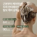플러스82 아산점 | 보타랩 데저티콜라 플러스 샴푸 & 컨디셔너 효과 후기｜탈모·윤기·두피 보습 한 번에!